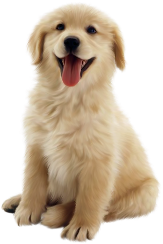 2b4eed62f217d18c8a9d8367a7edd135_small-animal-cottonwood-puppy-clipart-png_537-800