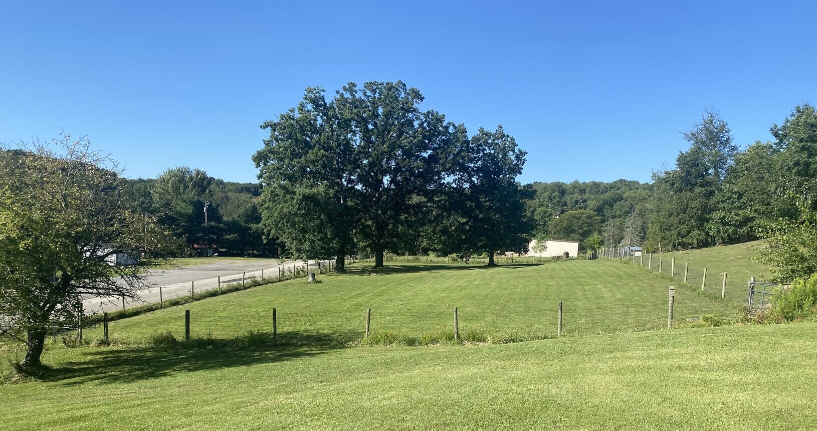 Our Kennels Goldenrod Kennels